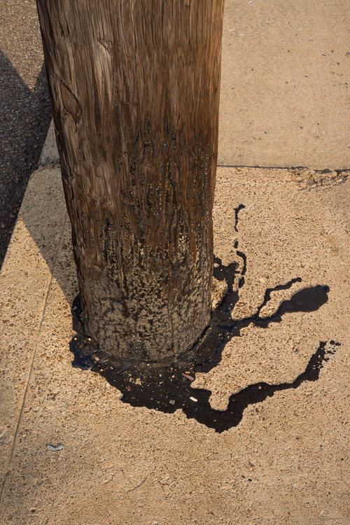 tar