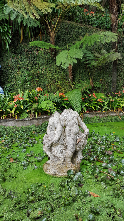 Headless Twins